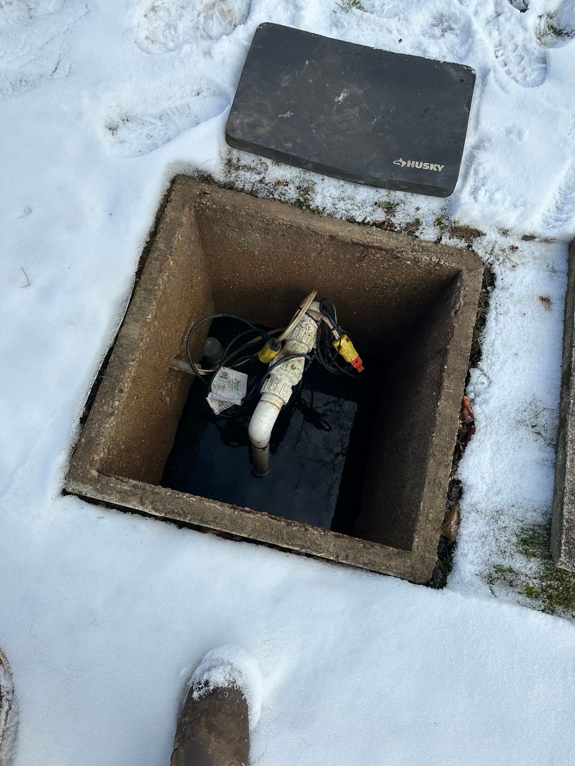 A bird is sitting in a hole in the snow.