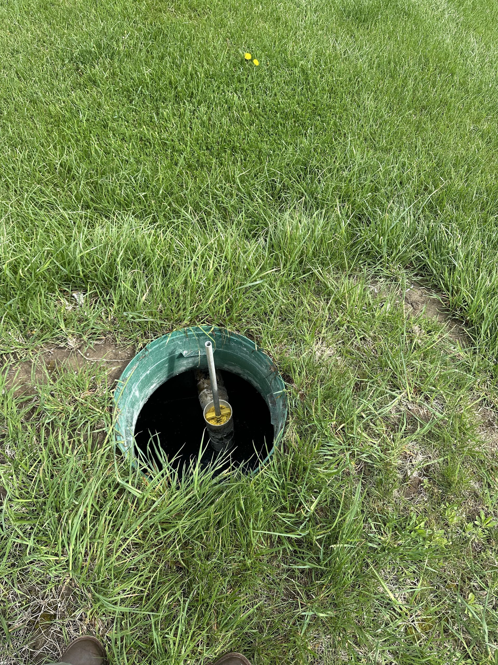 A bird is sitting in a hole in the grass.