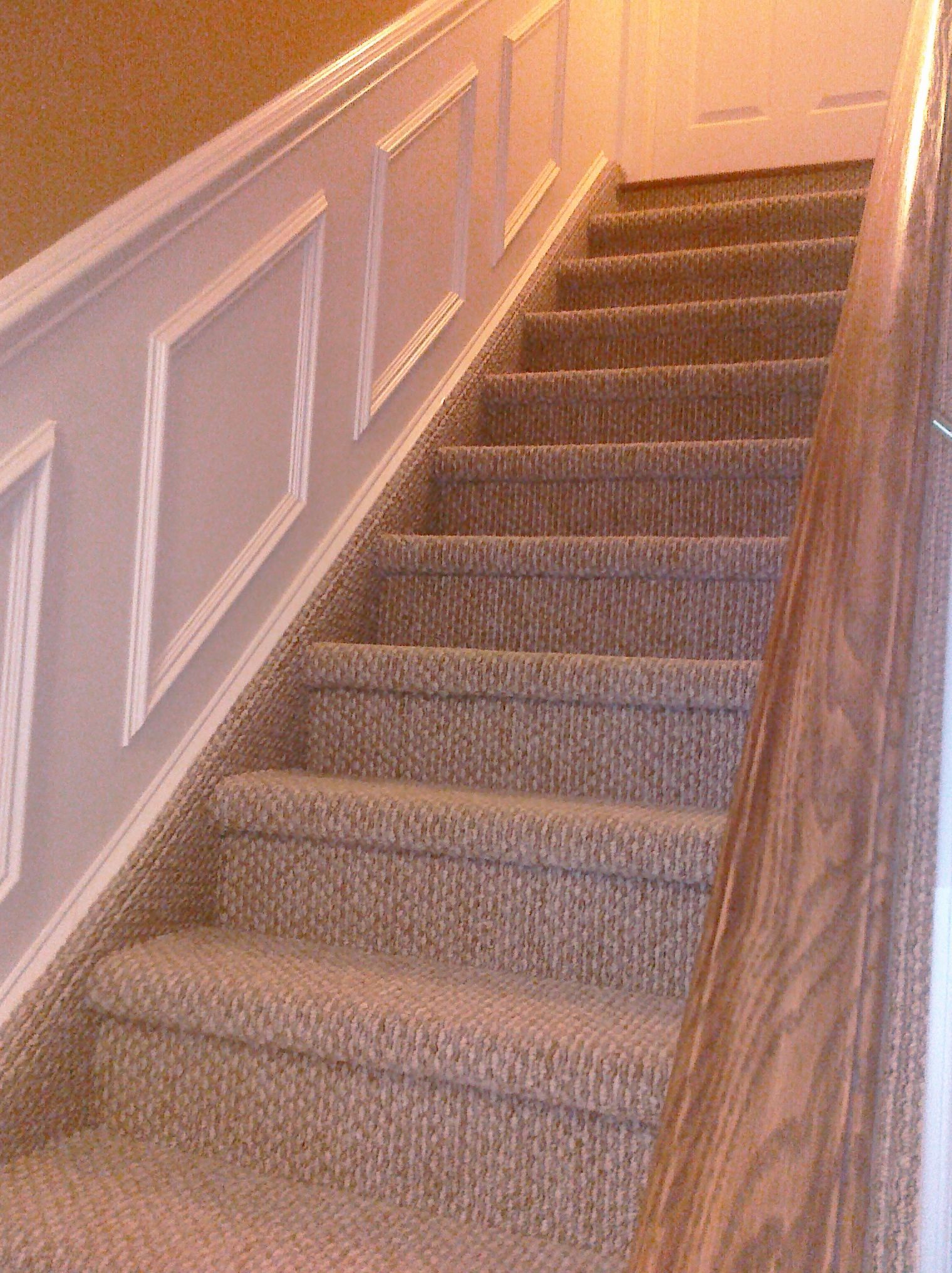 Staircase with beige carpet and wooden handrail, white paneled wall on the left.