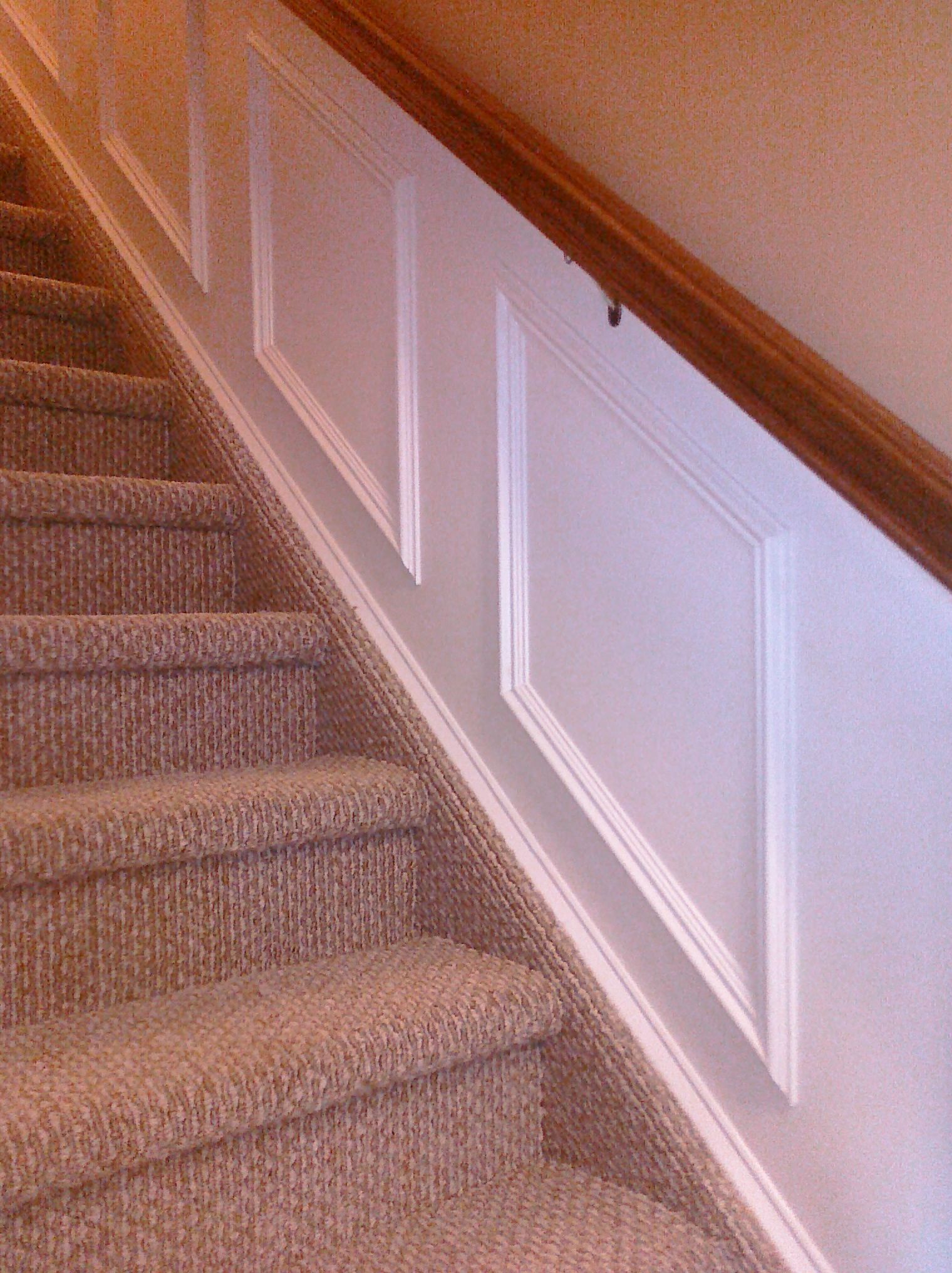 Staircase with beige carpet and white paneling along the wall, wooden handrail.