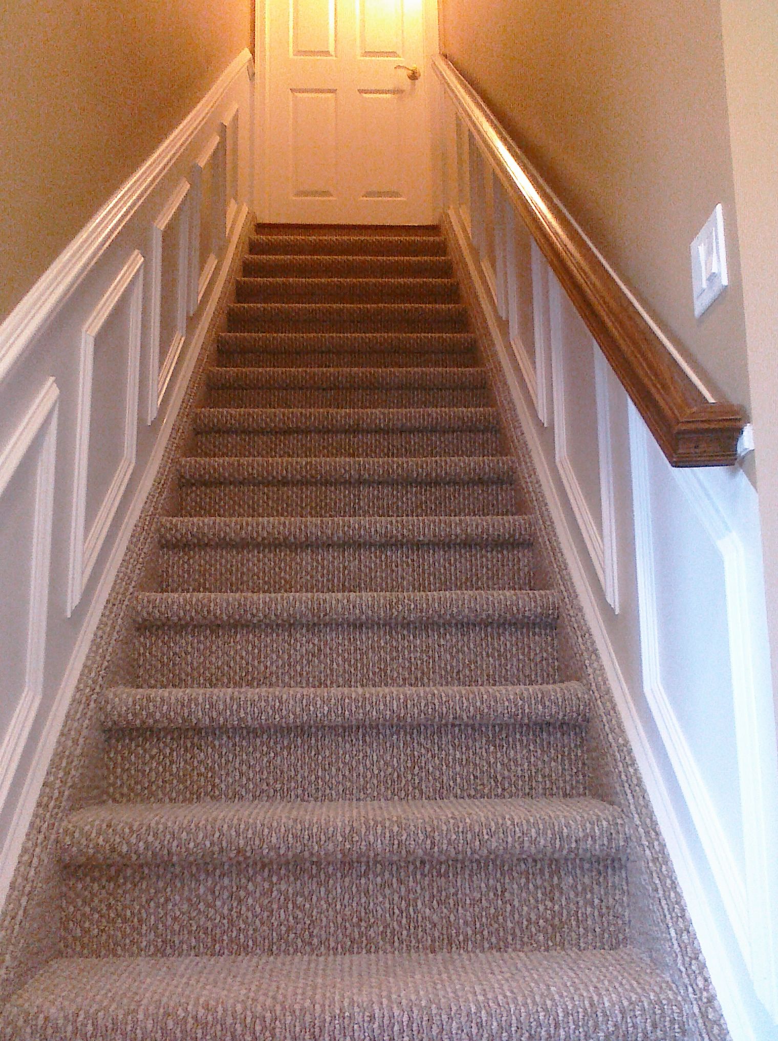Staircase with carpet and white paneling leading to a white door.