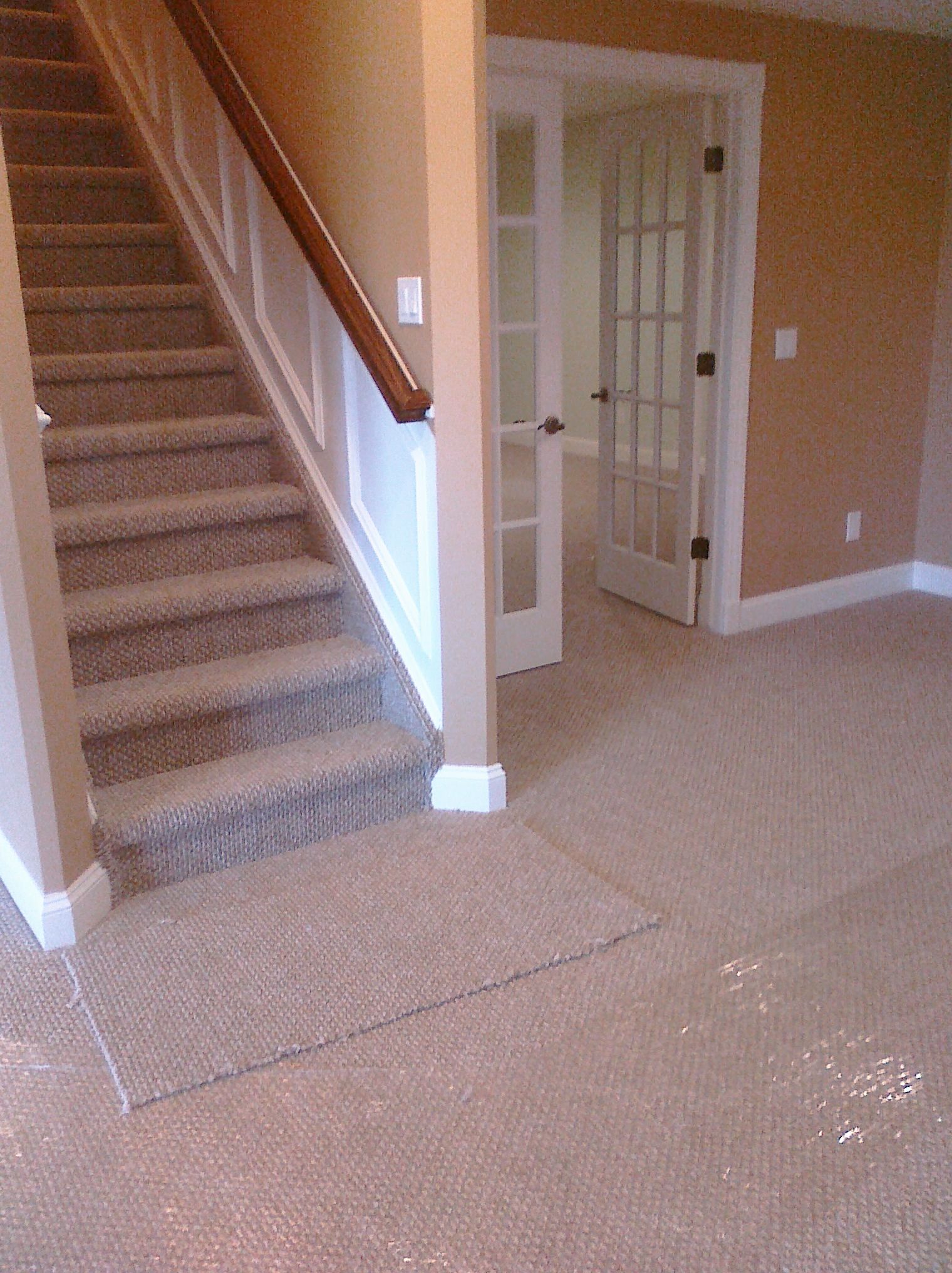 Staircase with carpeted steps and brown handrail, leading up. White door with glass panes open to the right.