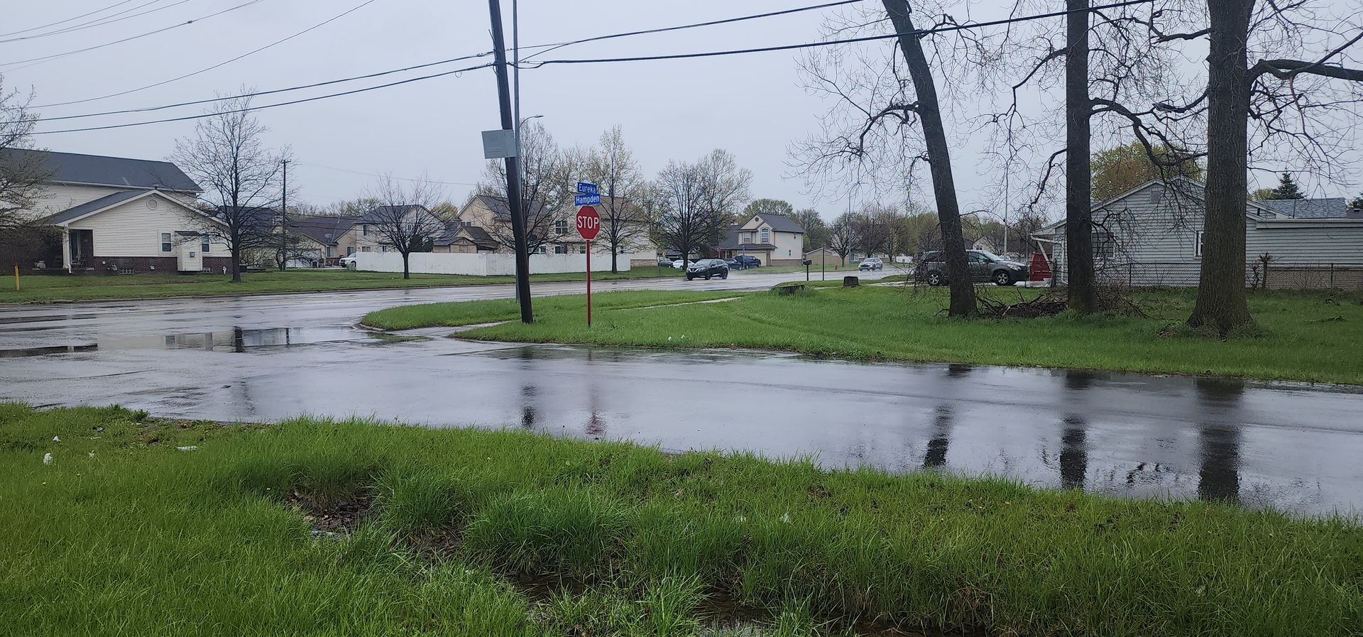 A flooded road with green grass and a cloudy sky. A stop sign and houses are visible.
