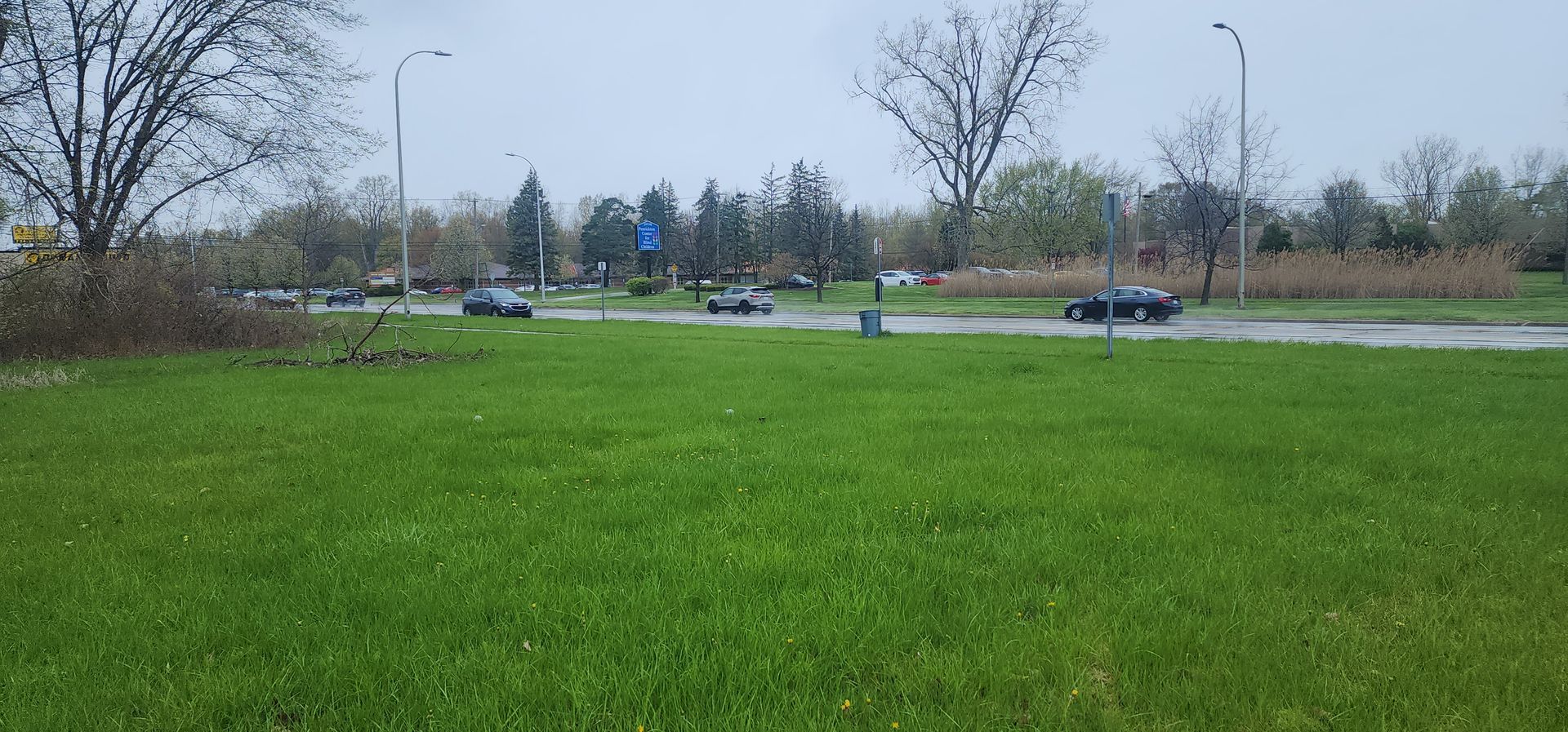 Green grass in the foreground, a road with cars in the midground, and trees under a cloudy sky.