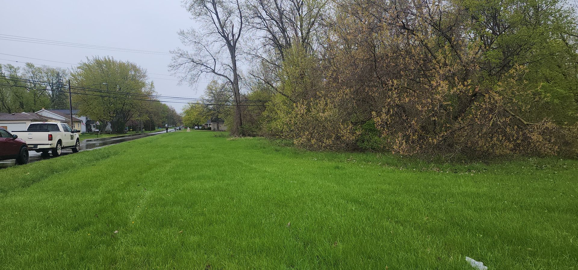Green grassy embankment next to a road lined with trees and parked vehicles on a cloudy day.
