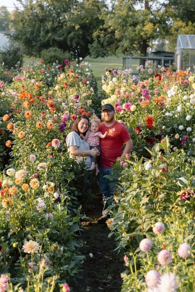 Family in dahlia garden: Woman holding child, man standing between colorful flower rows.
