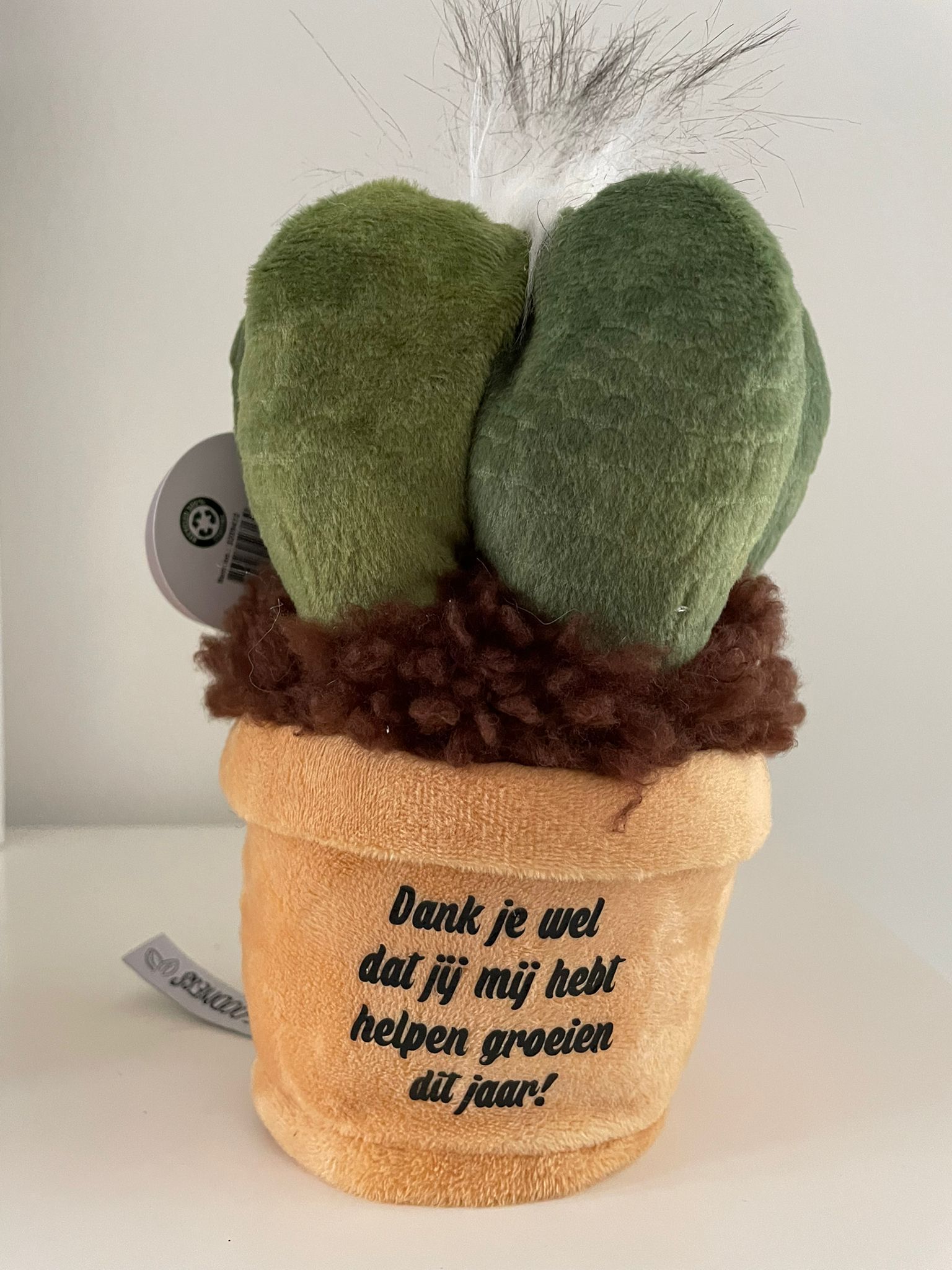 Het is voor juffen en meesters vaak moeilijk om planten mooi te houden in de klas en wat doe je met de planten in de vele vakanties.  Wij hebben de oplossing geef de juf of meester een plantenknuffel. HELEMAAL HIP