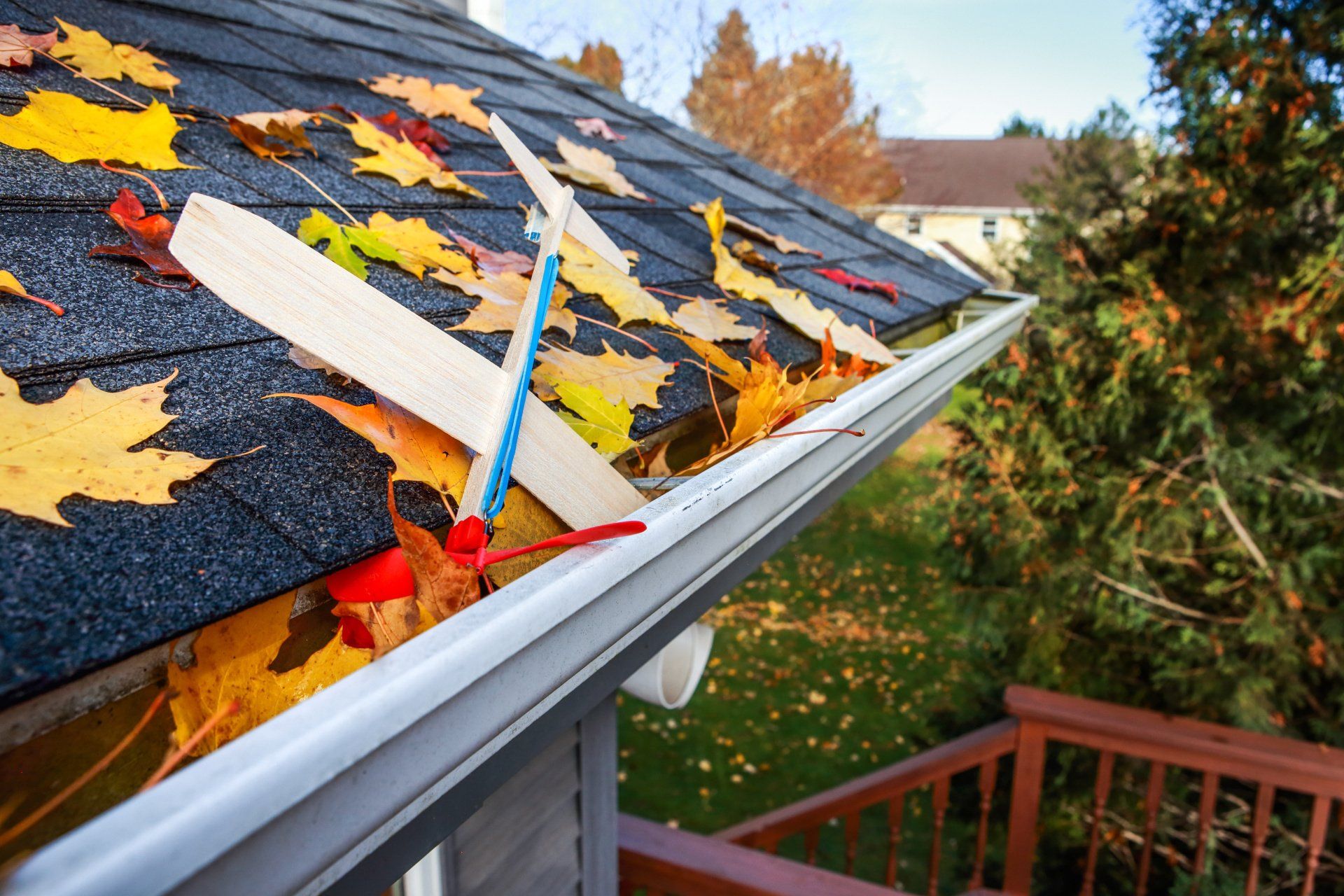 A house with a gutter filled with leaves and a dragonfly on the roof.