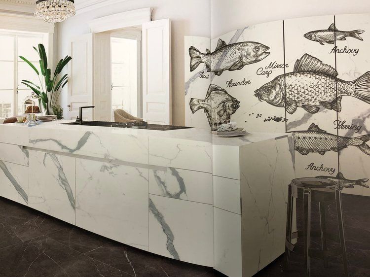 A kitchen with a counter top and fish on the wall