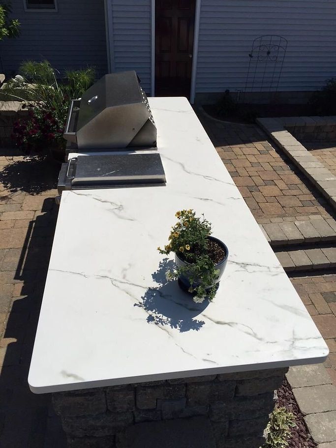 A potted plant is sitting on top of a counter next to a grill