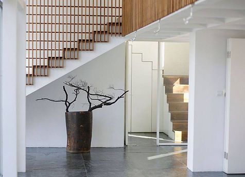 A potted plant is sitting under a staircase in a hallway