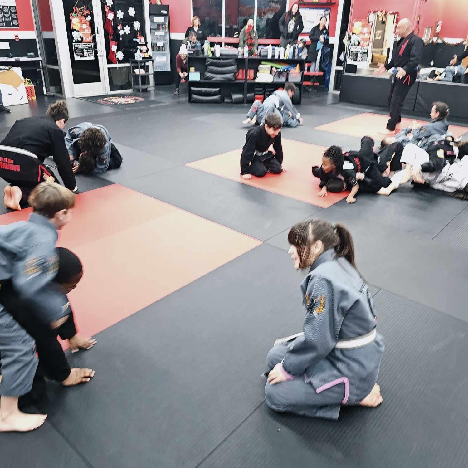 WAY OF THE WARRIOR MARTIAL ARTS, 9882 Waterman Rd Ste 100, Elk Grove