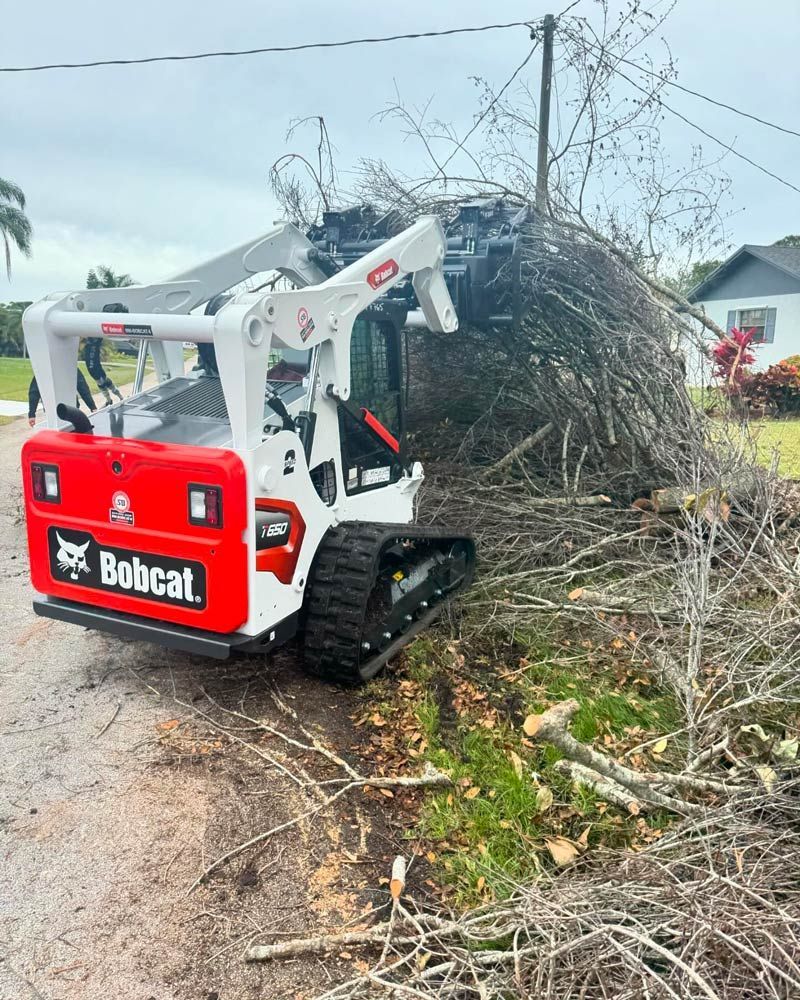 Removing Dried Branches in Port St. Lucie, FL