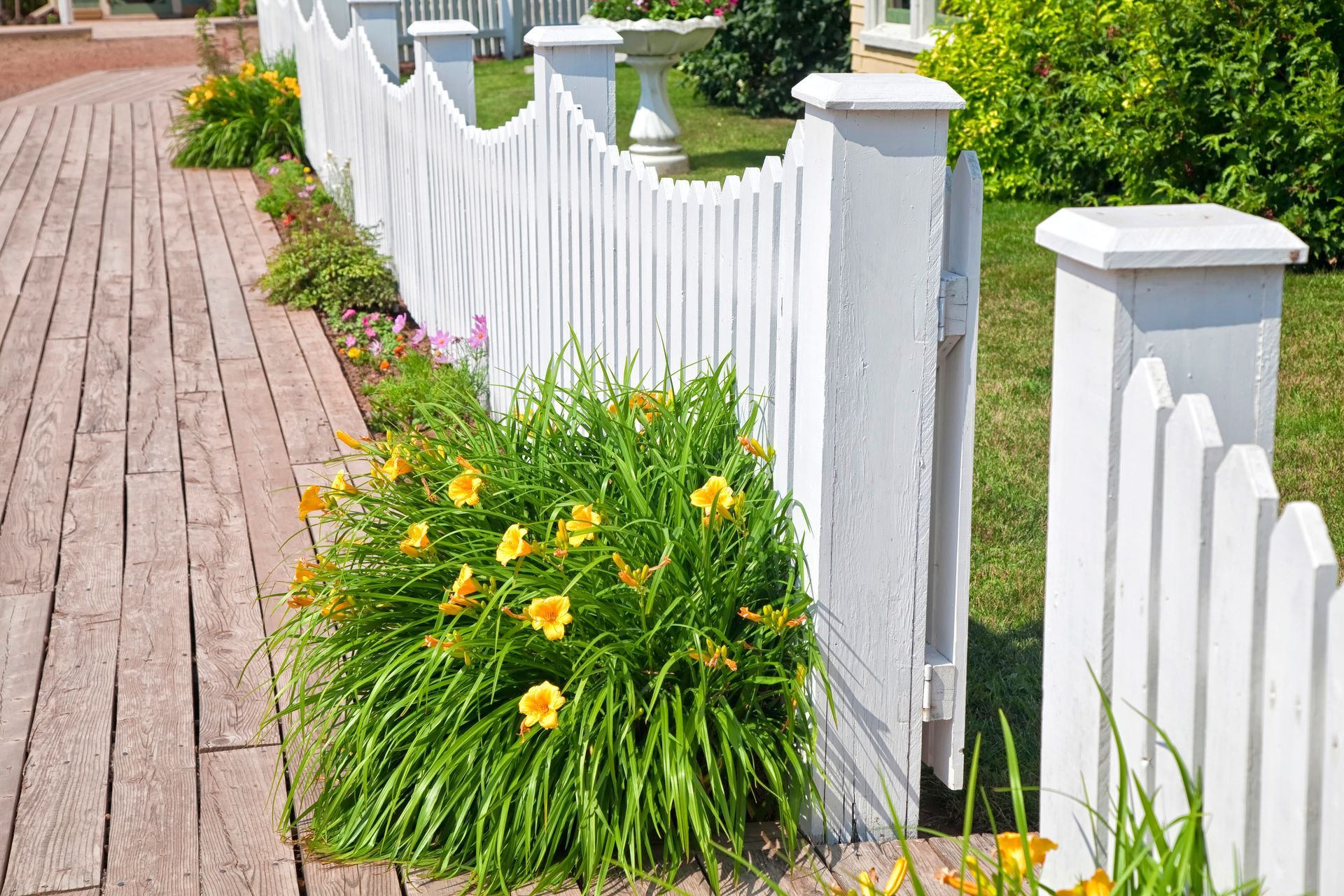 A white picket fence surrounds a garden with yellow flowers.