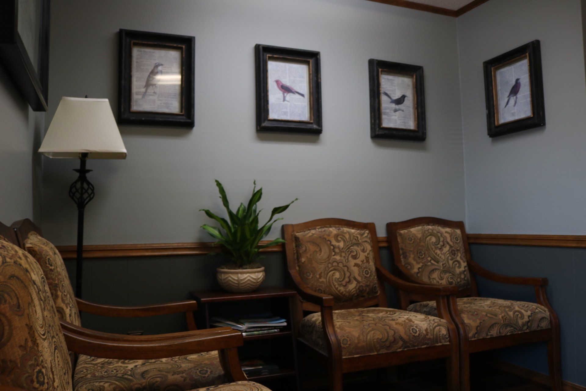 cpa taxes near me, income tax preparer near me