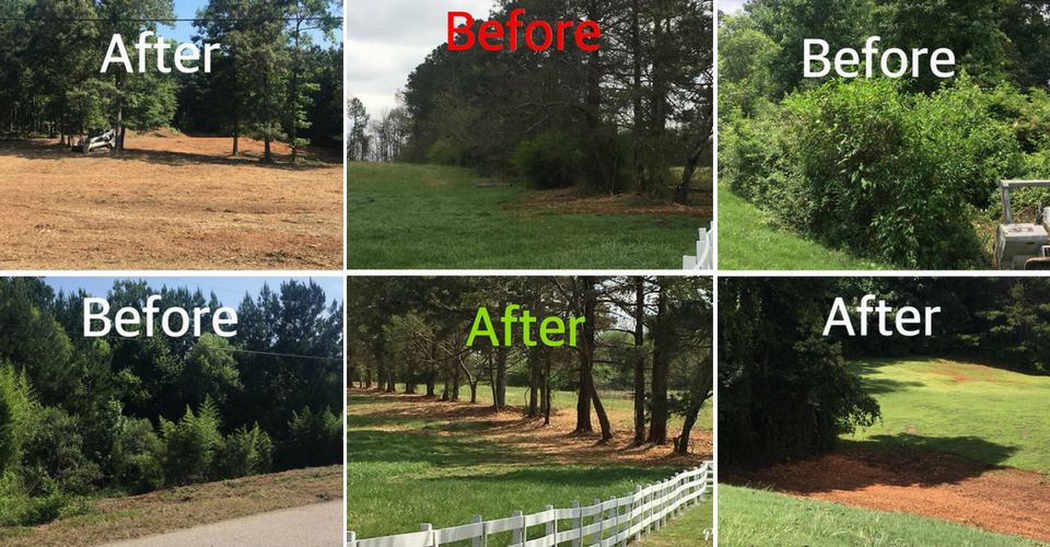 A collage of before-and-after photos showing land cleared of dense brush and overgrown vegetation to reveal open ground.