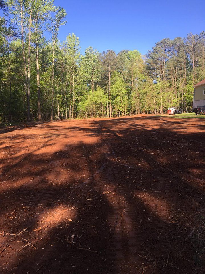 A clearing of red dirt with tire tracks, bordered by a dense forest under a clear blue sky.