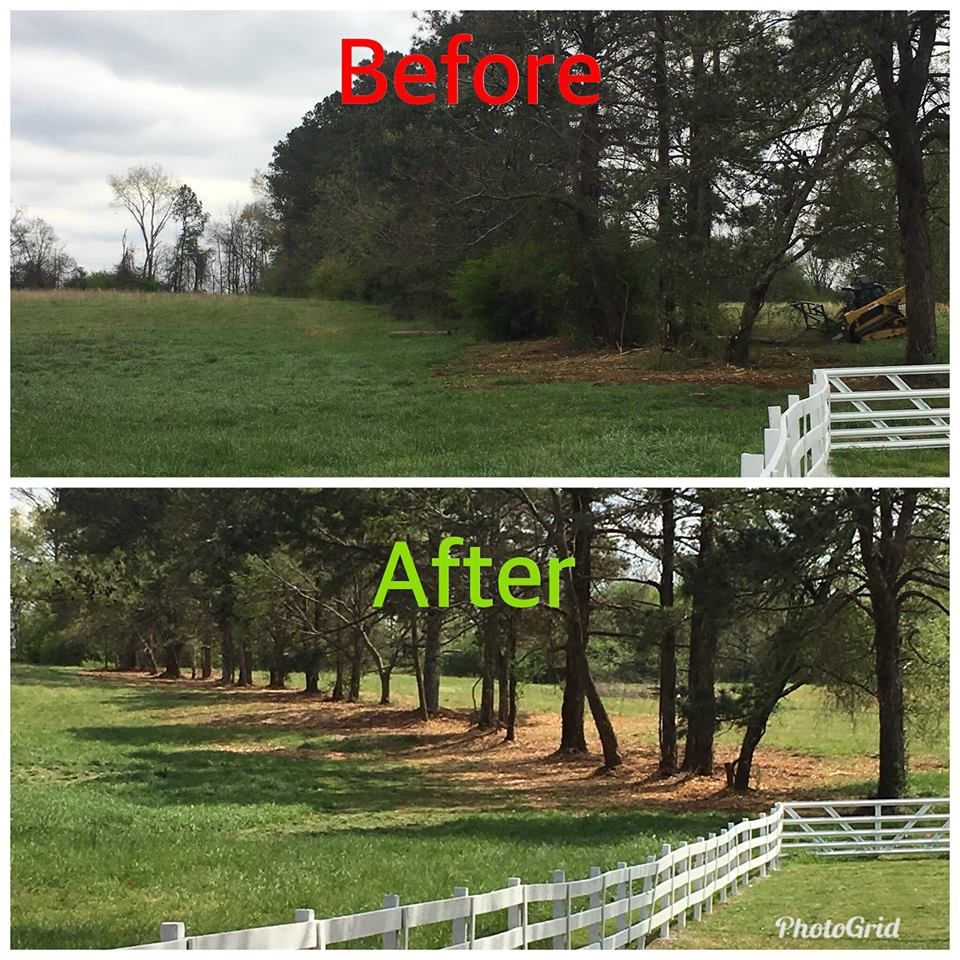 A comparison showing a field's tree line before and after being cleared of brush and undergrowth.