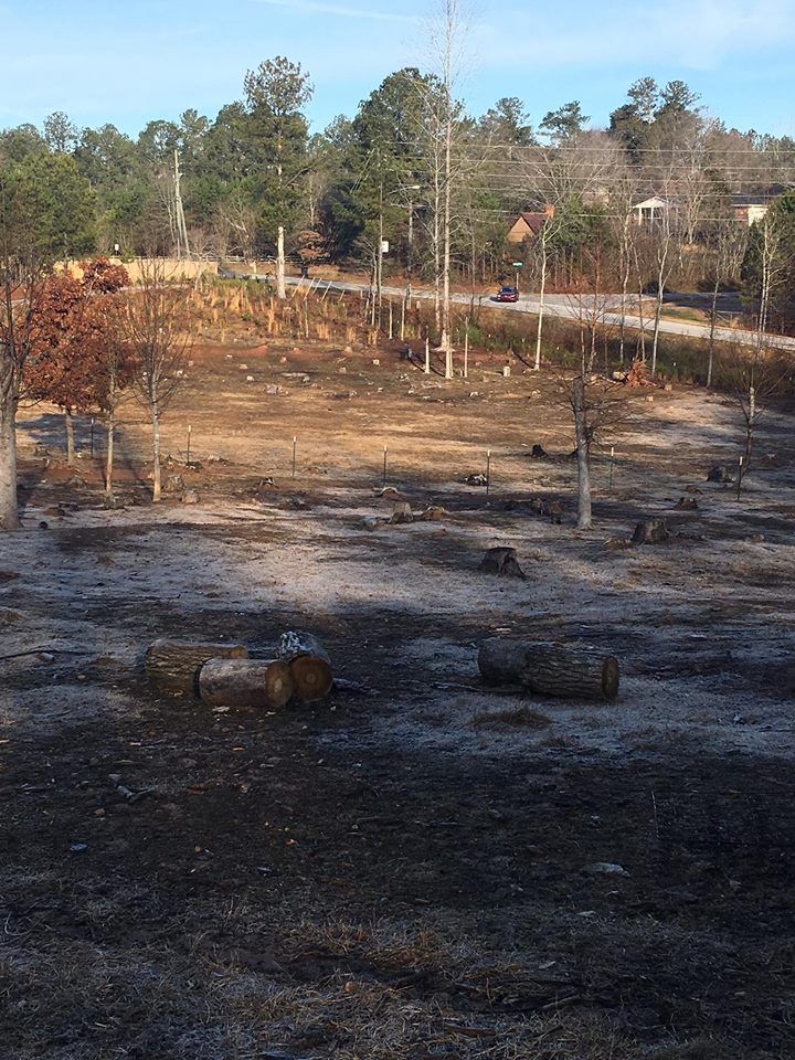 A cleared, sloped lot with sparse trees and scattered logs against a backdrop of woods and a distant road under a blue sky.