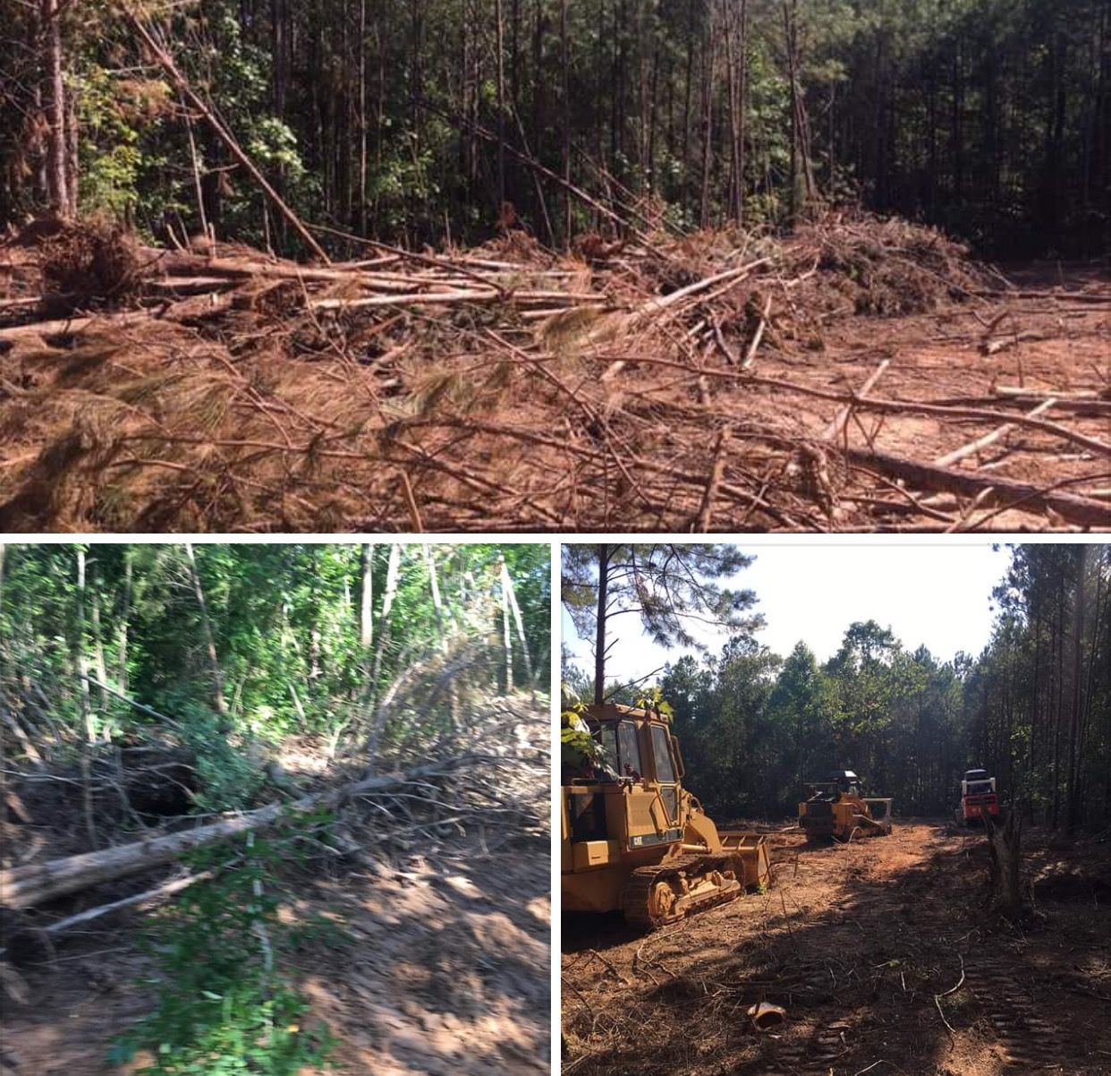 A collage shows construction machinery clearing trees and brush in a wooded area, leaving behind piles of debris and soil.