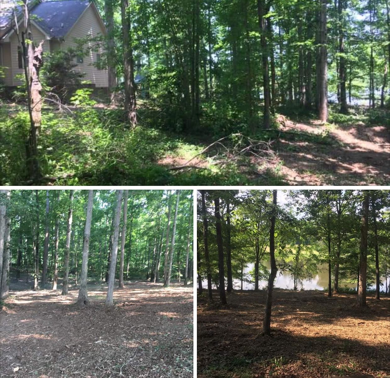 A three-panel image showing a house and wooded grounds, including cleared, mulch-covered areas leading toward a lake.
