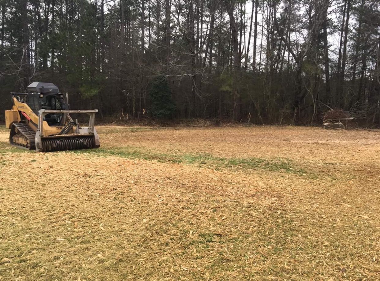 A yellow skid steer with a forestry mulcher attachment sits in a cleared field in front of a dense treeline.