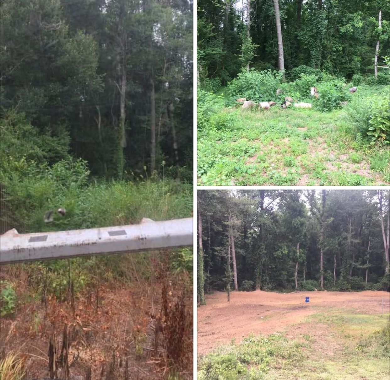A three-part collage shows a roadside view, a wooded area with grazing goats, and a cleared dirt patch near trees.