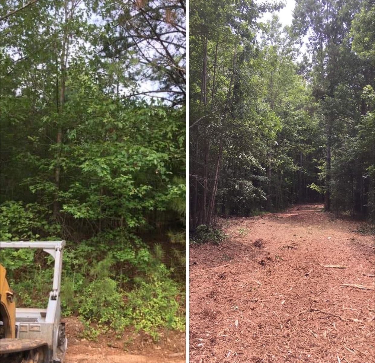 Before-and-after view of land clearing, showing dense forest transitioned into a clear path covered in wood mulch.