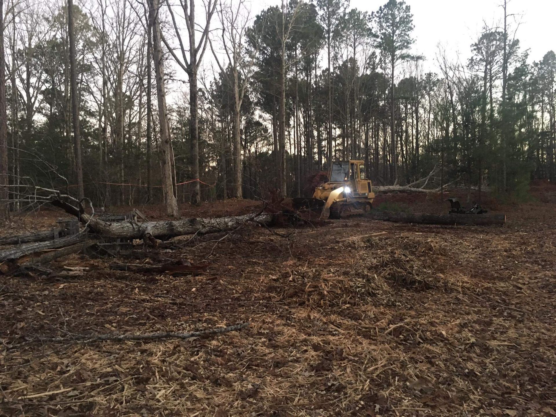 A yellow bulldozer clears fallen trees and brush in a wooded area.