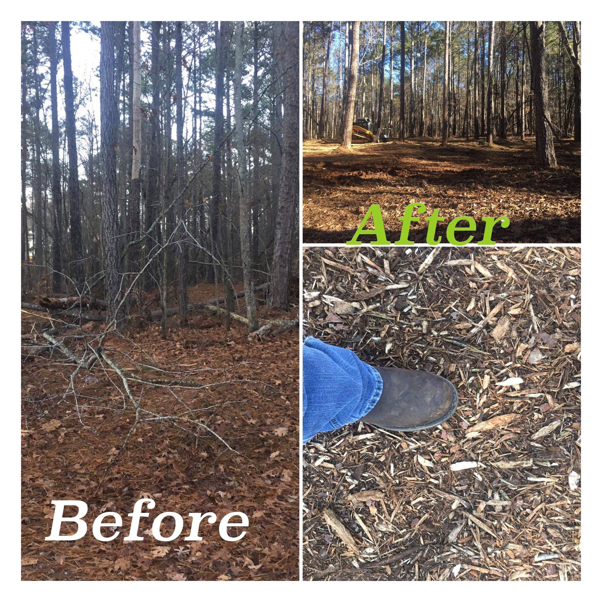 A before-and-after comparison of a forest floor cleared of debris and covered in wood mulch.