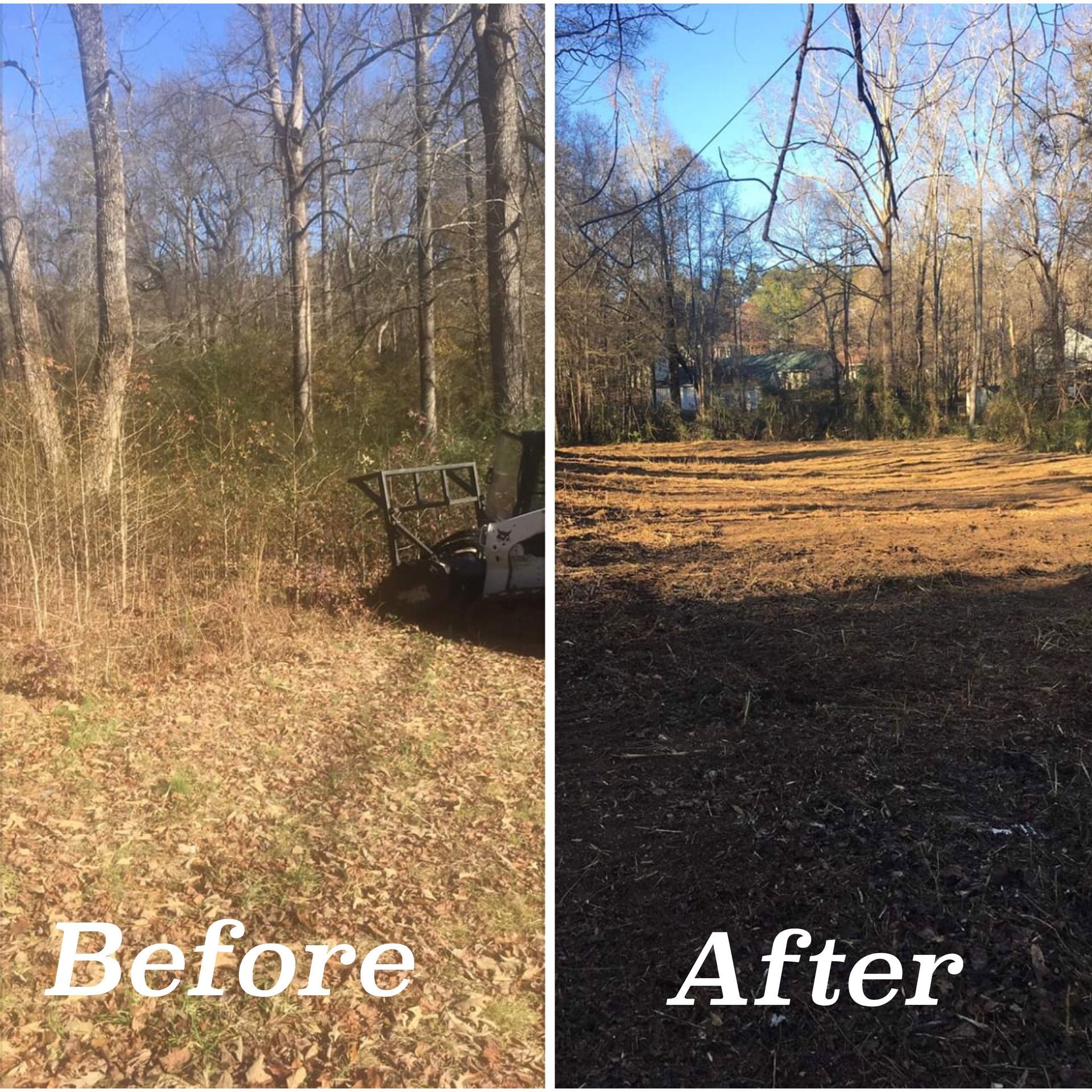 A split-screen view showing a wooded area with dense brush before and after being cleared by heavy machinery.