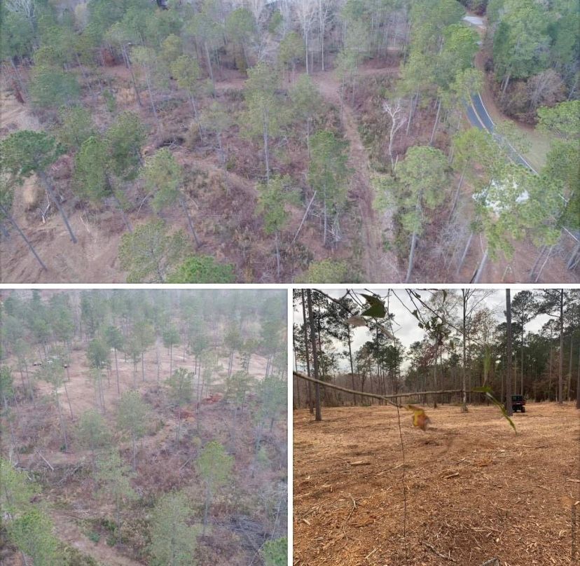 A three-part view showing cleared forest land from an aerial perspective and a close-up of the wood-chipped ground level.