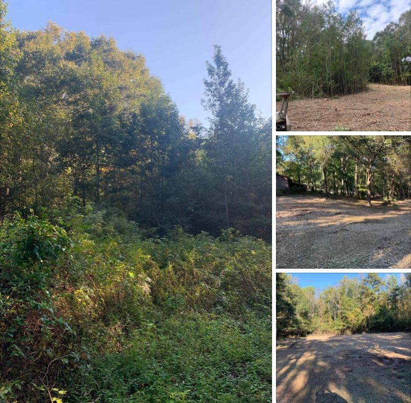A collage showing a lush green forest edge alongside a cleared, gravel-covered lot under a clear blue sky.