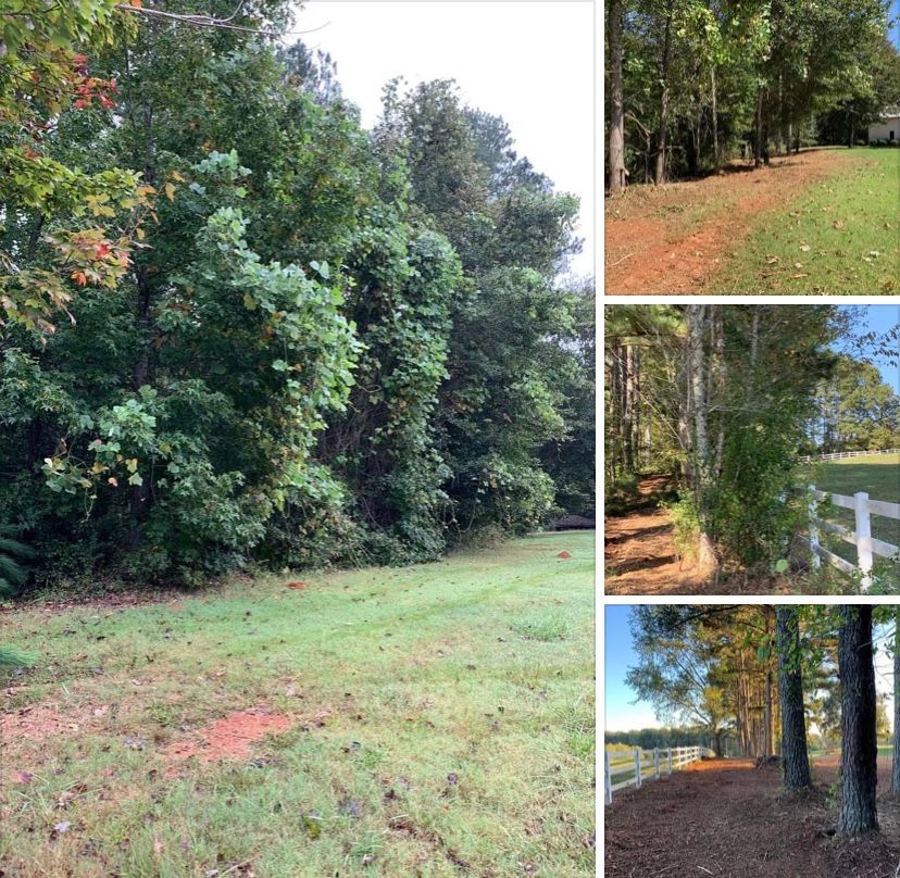A collage showing a grassy clearing bordering a dense tree line, with white fences visible in two of the inset photos.