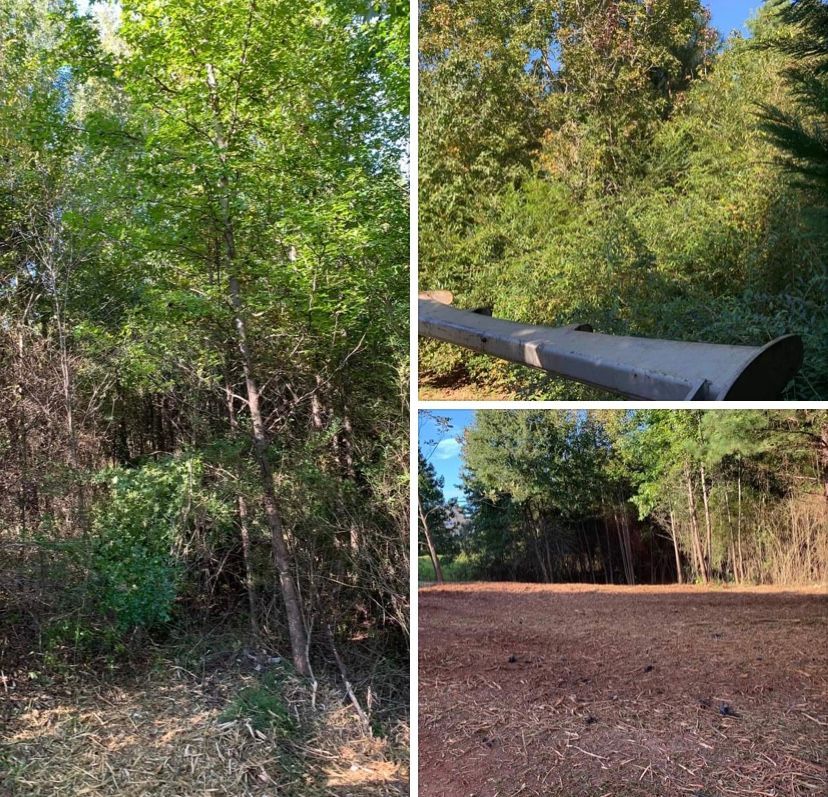 A collage showing a densely wooded area being cleared, with trees, brush, and a cleared dirt ground.
