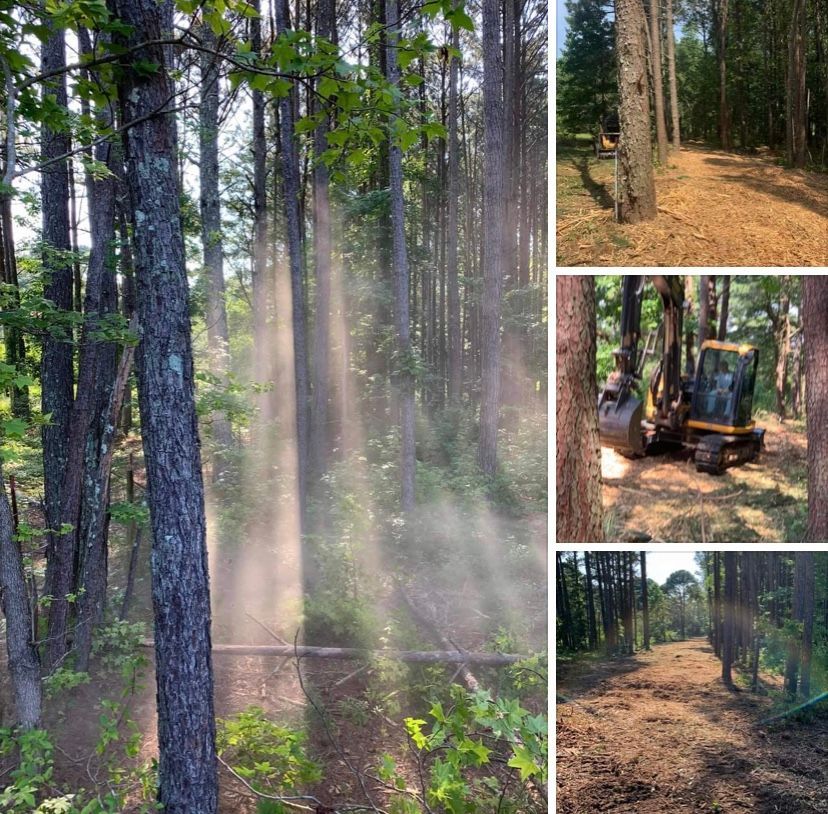 A collage showing a forested area where heavy machinery is clearing underbrush and clearing a path between pine trees.