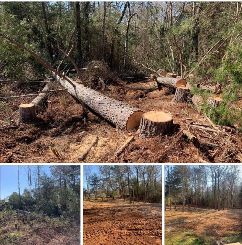 A collage showing trees being felled in a wooded area and the subsequent land clearing with exposed earth and tire tracks.
