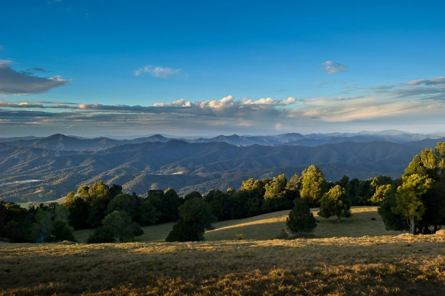 There Are Mountains in The Background and A Field in The Foreground — All Round Ground Maintenance in Bellingen, NSW