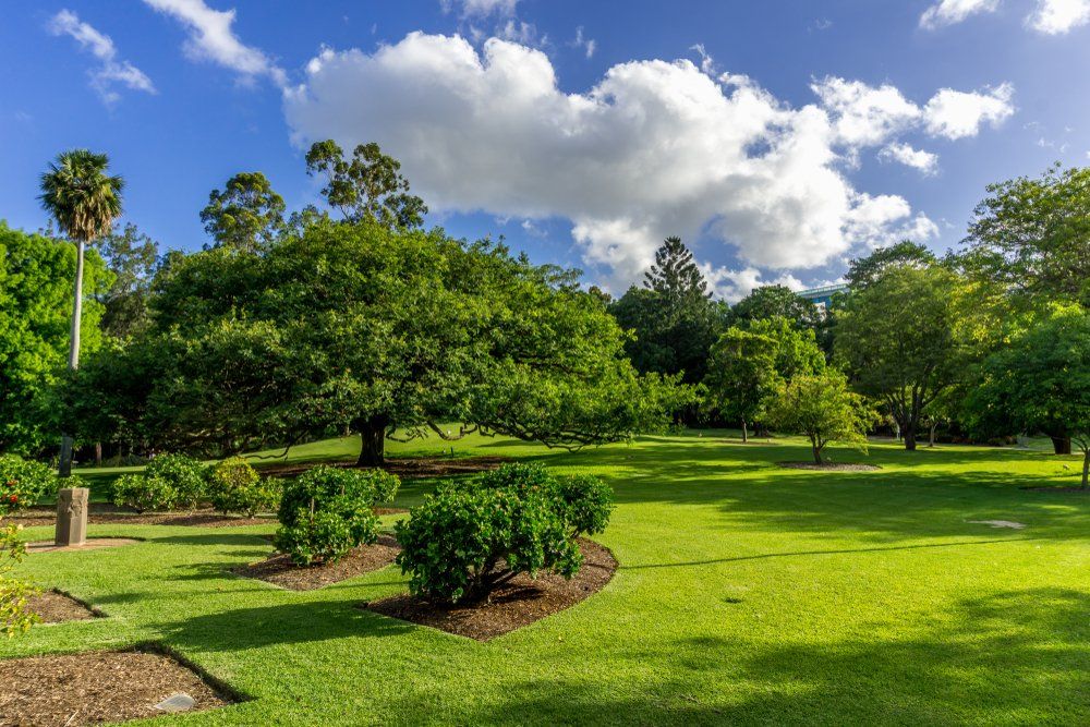 A Lush Green Park Filled with Trees and Bushes on A Sunny Day — All Round Ground Maintenance in Urunga, NSW