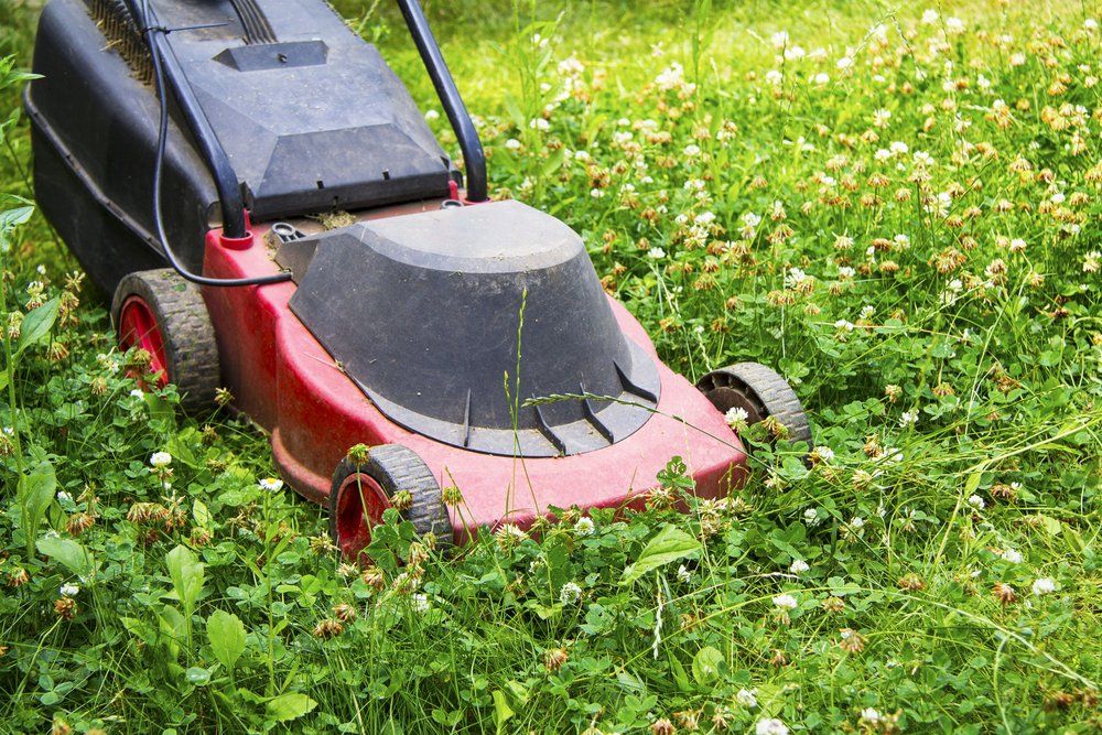 A Red Lawn Mower Is Cutting a Lush Green Lawn — All Round Ground Maintenance in Nana Glen, NSW