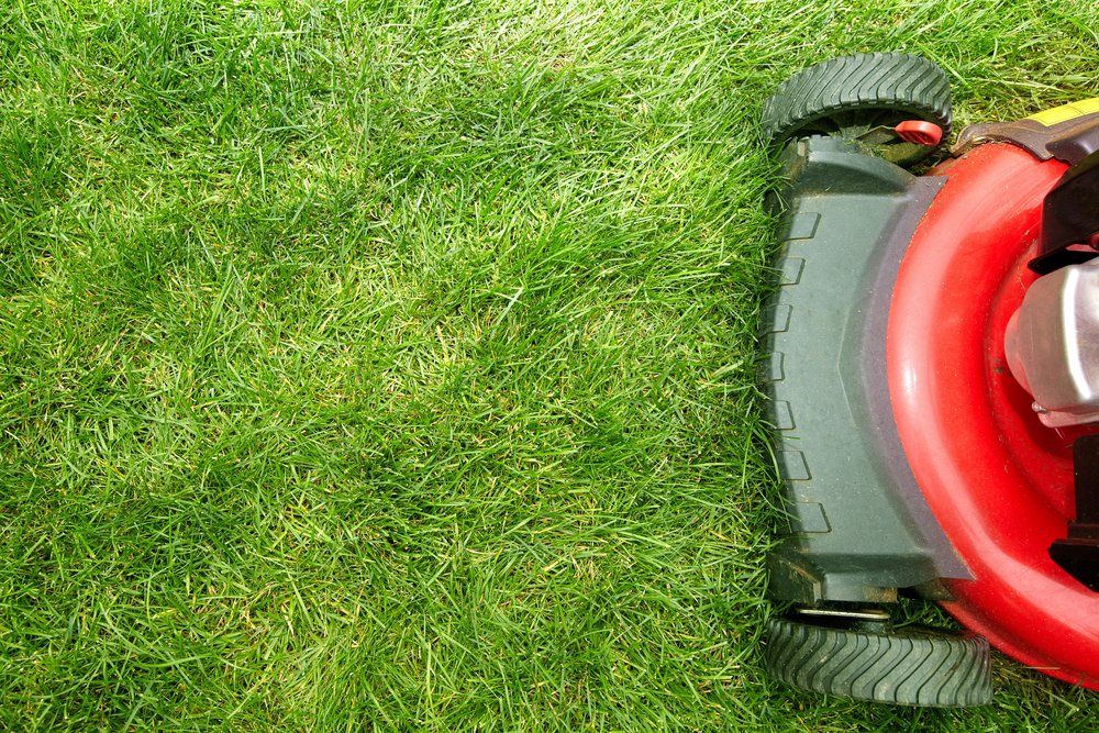A Red Lawn Mower Is Cutting a Lush Green Lawn — All Round Ground Maintenance in Mid North Coast, NSW