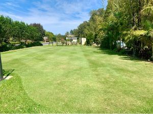 Lawn — All Round Ground Maintenance in Woolgoolga, NSW