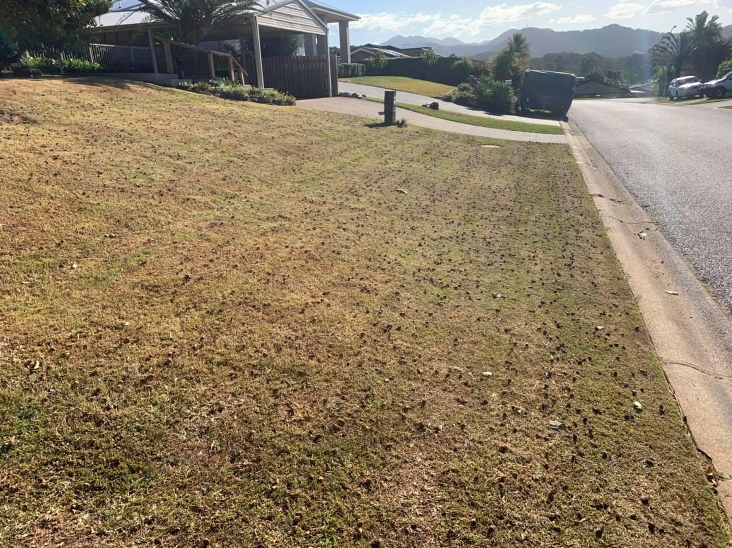 There Is a Lot of Grass on The Side of The Road — All Round Ground Maintenance in Nana Glen, NSW
