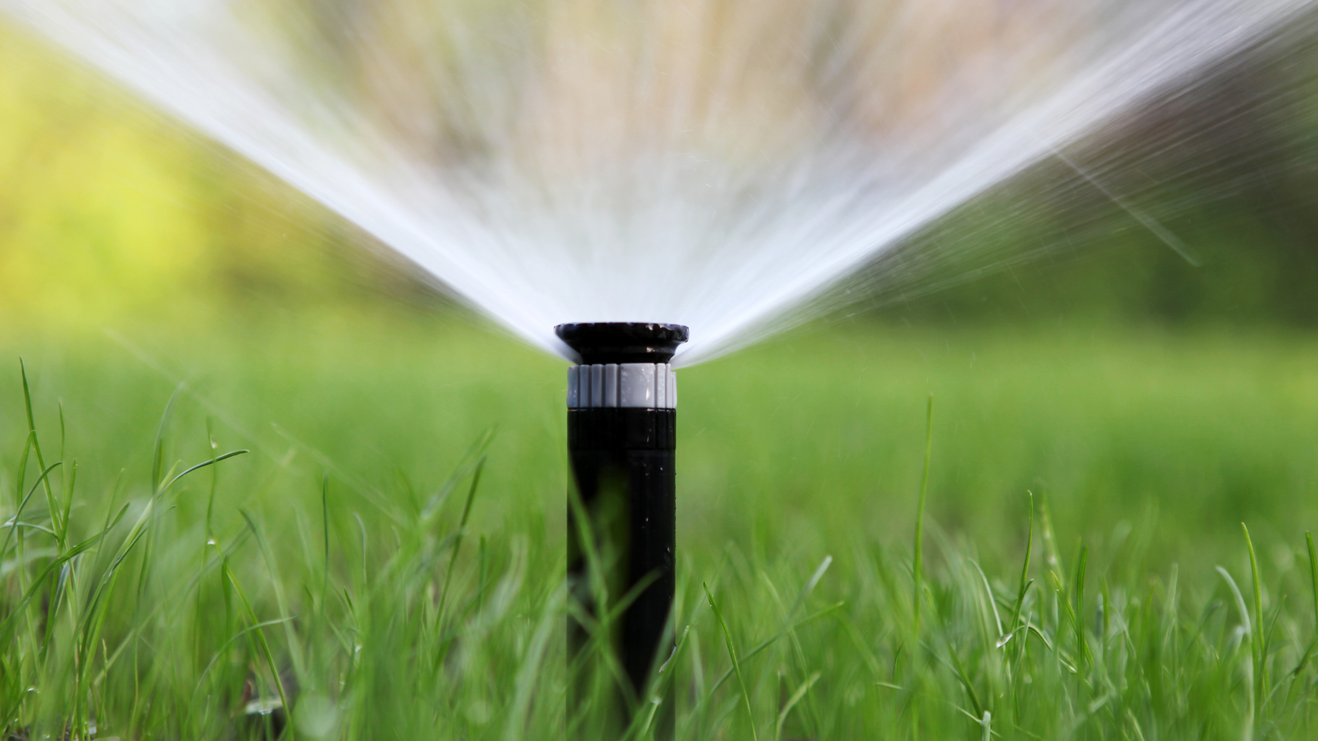 A sprinkler is spraying water on a lush green lawn.