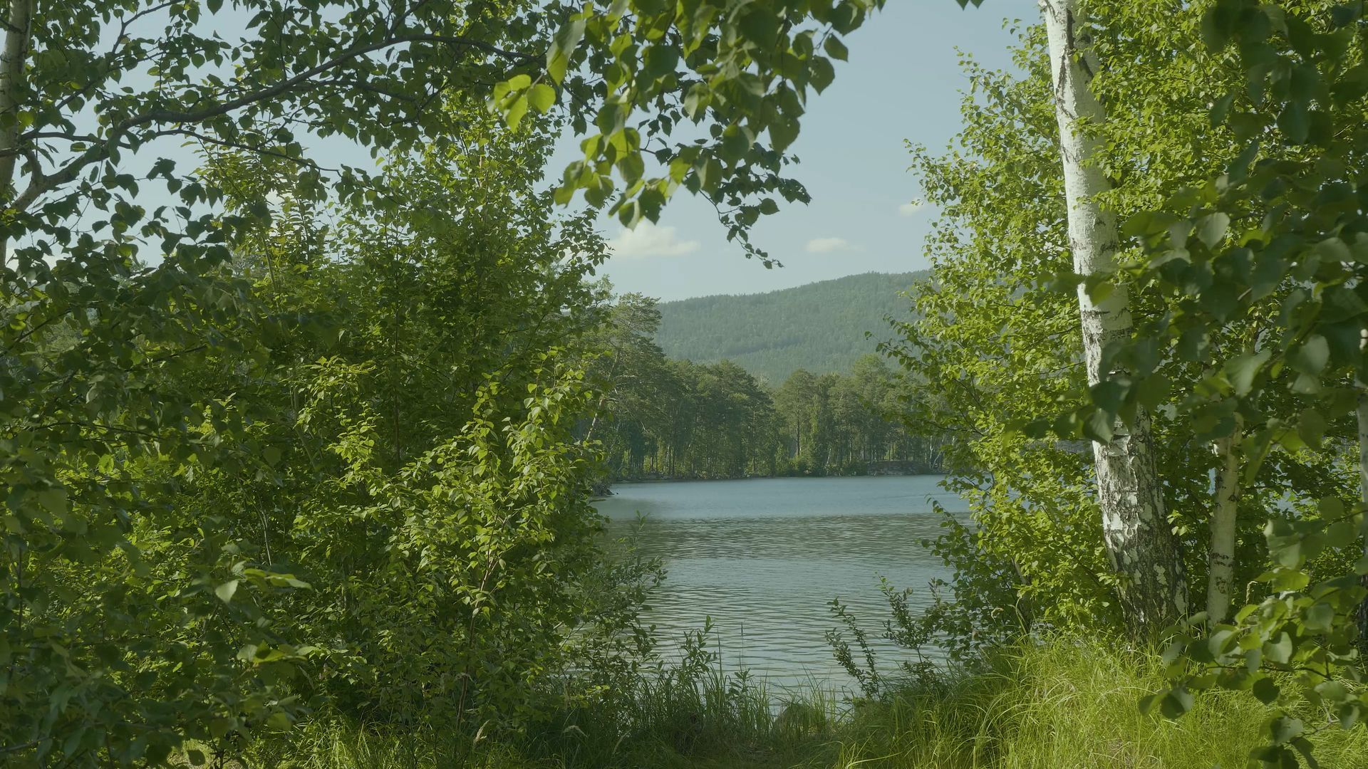 Lush green foliage frames a view of a lake and distant mountains on a sunny day.