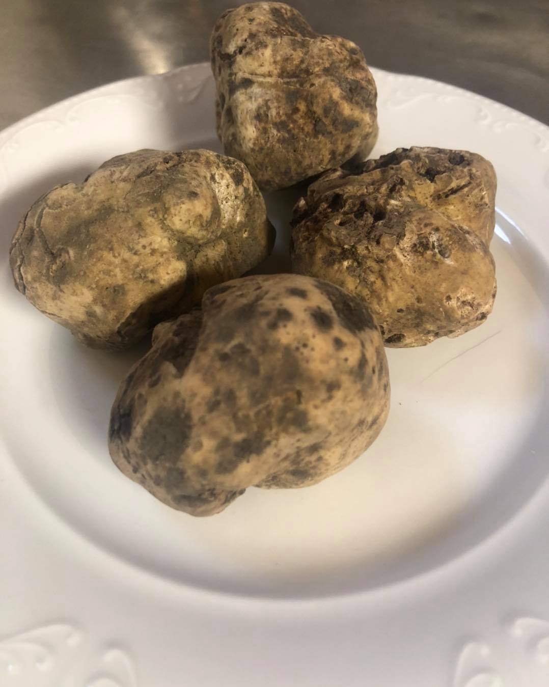 tartufo