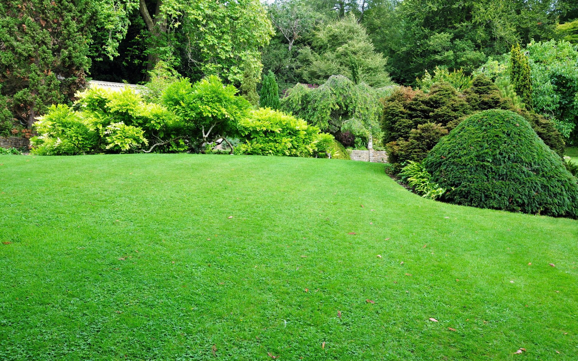 Lawn Services in Festus, MO Cardinal Lawn Care LLC