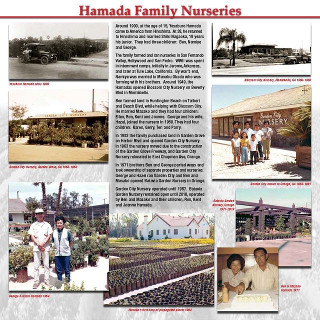 Hamada Family nurseries: Blossom City, Garden City, Batavia Garden