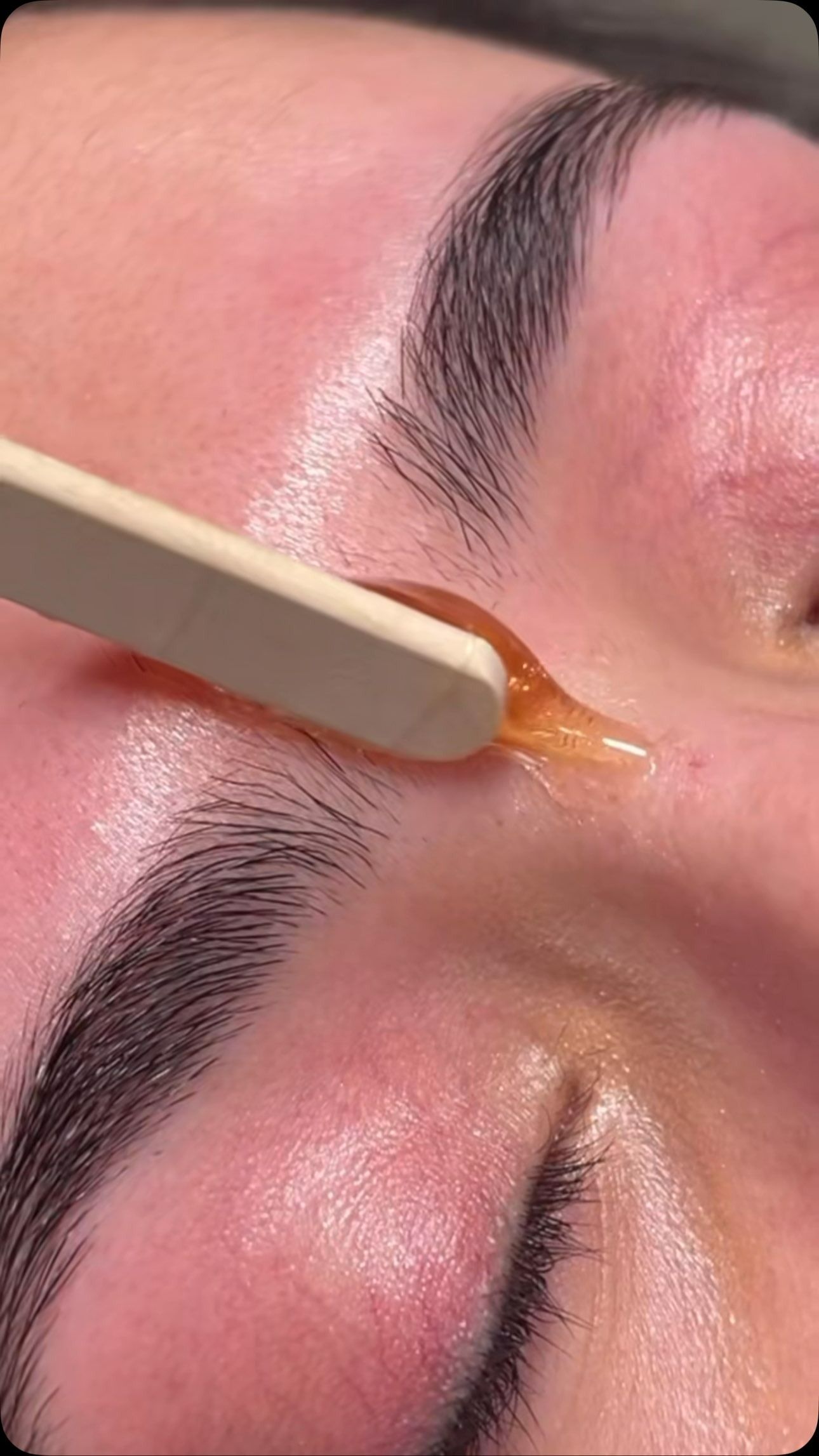 Eyebrow Waxing: a Technician Applies Wax to the Brow With a Wooden Applicator — Sage Spa & Beauty in Mackay, QLD