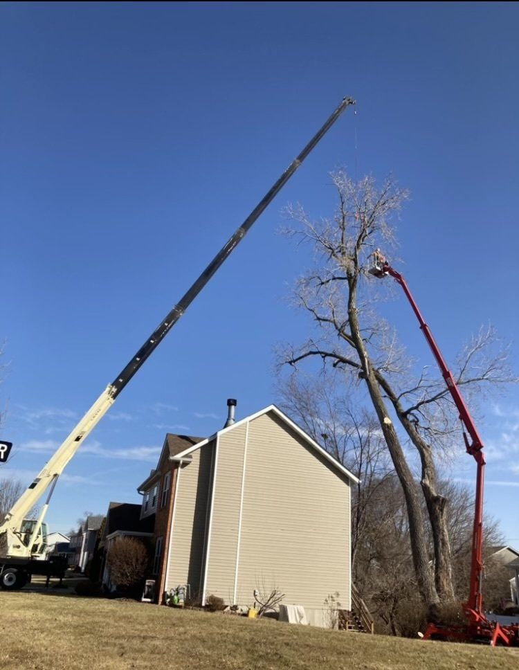 crane tree service edwardsville il